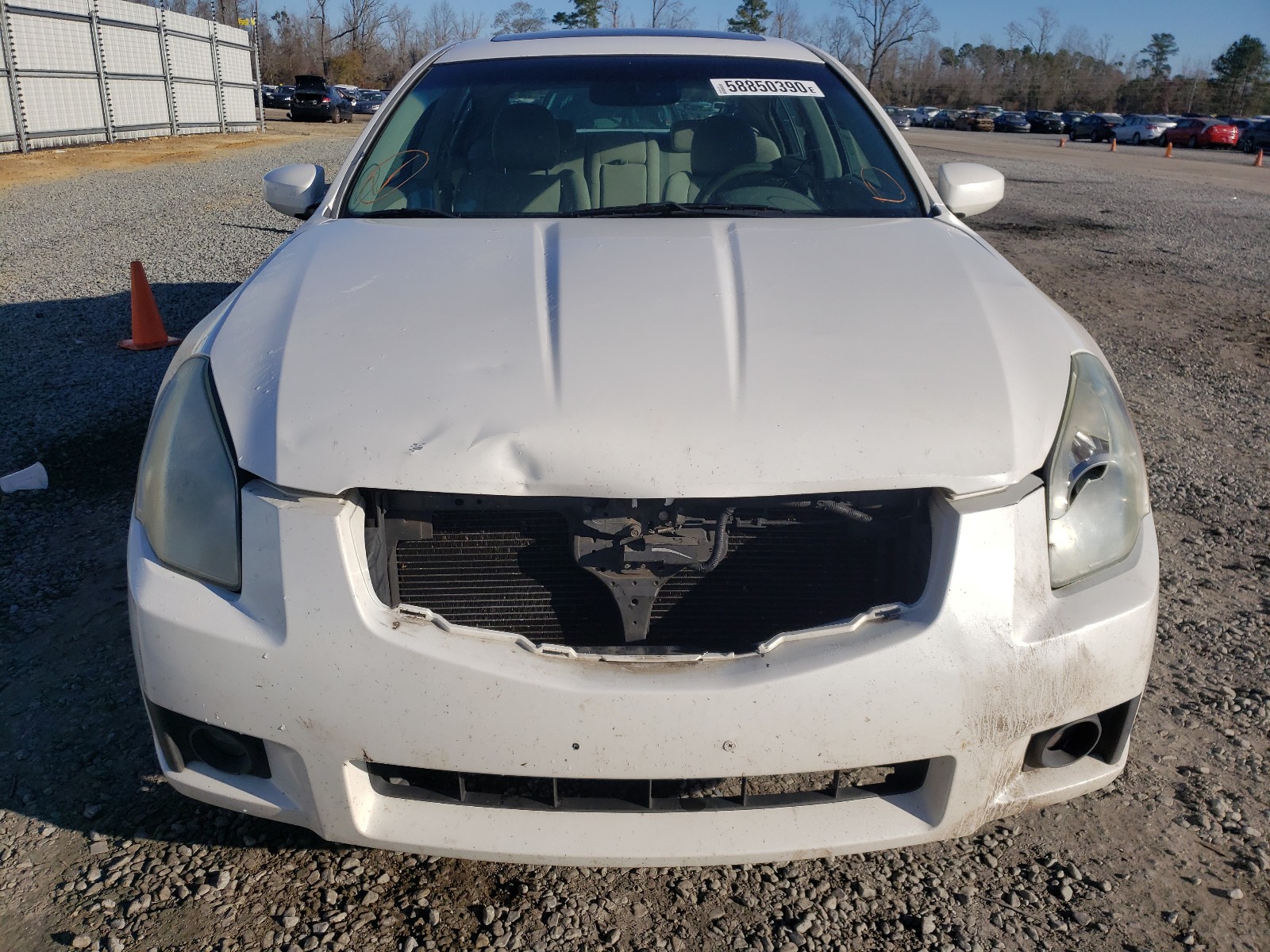 Photo 8 VIN: 1N4BA41EX7C819216 - NISSAN MAXIMA SE 