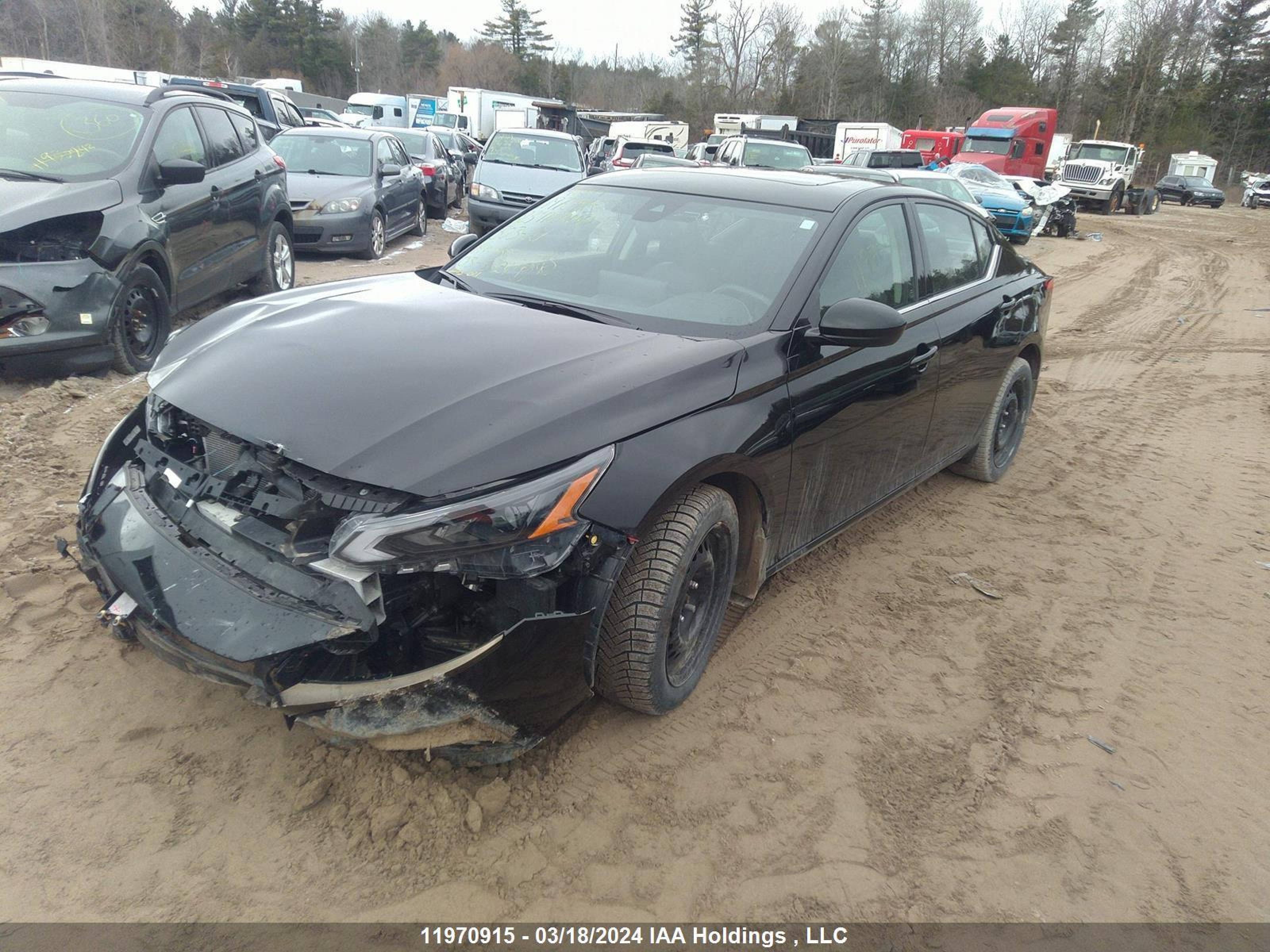 Photo 1 VIN: 1N4BL4CW0PN303421 - NISSAN ALTIMA 