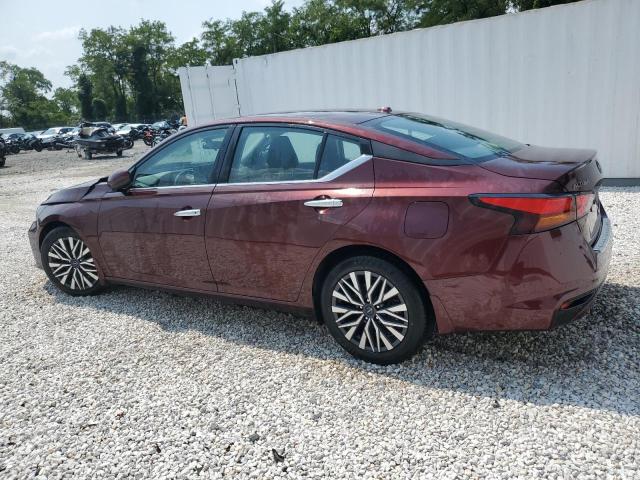 Photo 1 VIN: 1N4BL4DV6PN356694 - NISSAN ALTIMA SV 