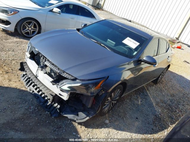 Photo 1 VIN: 1N4BL4DW1PN315026 - NISSAN ALTIMA 