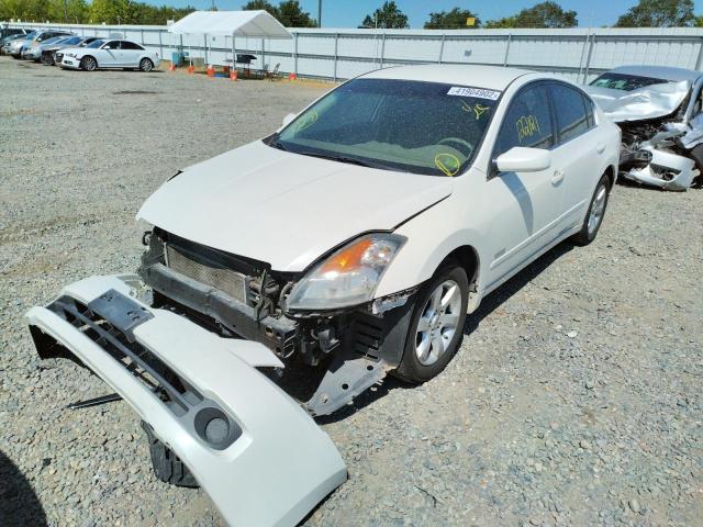 Photo 1 VIN: 1N4CL21E37C234531 - NISSAN ALTIMA HYB 