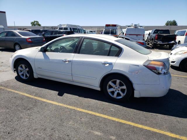 Photo 1 VIN: 1N4CL21E78C209861 - NISSAN ALTIMA HYB 