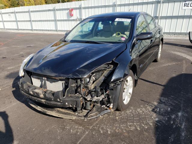 Photo 1 VIN: 1N4CL2AP0BC183919 - NISSAN ALTIMA HYB 