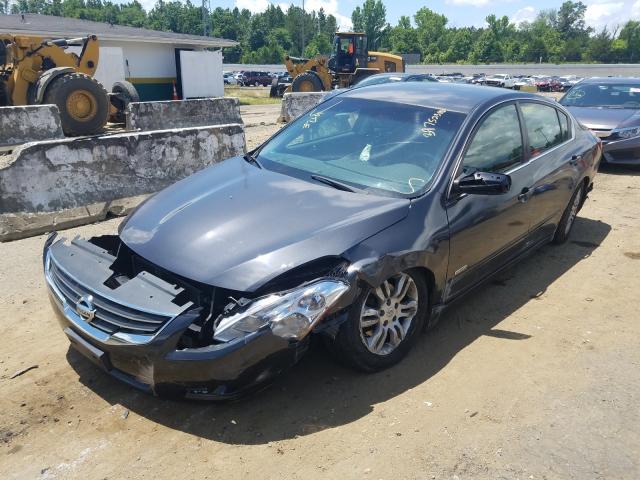 Photo 1 VIN: 1N4CL2AP1AC120049 - NISSAN ALTIMA HYB 