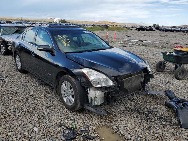 Photo 0 VIN: 1N4CL2AP2BC104203 - NISSAN ALTIMA HYB 