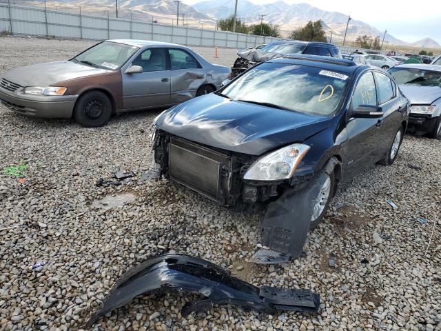 Photo 1 VIN: 1N4CL2AP2BC104203 - NISSAN ALTIMA HYB 