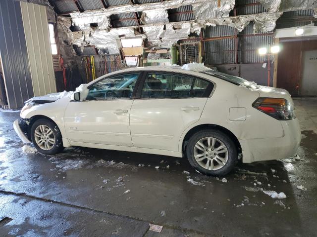 Photo 1 VIN: 1N4CL2AP3AC169558 - NISSAN ALTIMA 