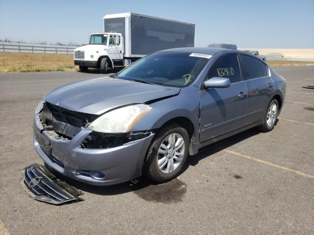 Photo 1 VIN: 1N4CL2AP4AC117601 - NISSAN ALTIMA HYB 