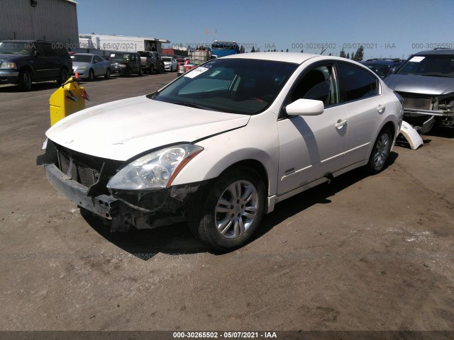 Photo 1 VIN: 1N4CL2AP4BC133668 - NISSAN ALTIMA 