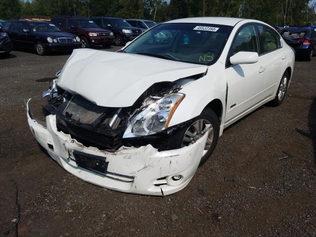 Photo 1 VIN: 1N4CL2AP4BC176262 - NISSAN ALTIMA HYB 