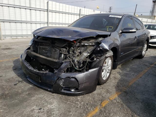 Photo 1 VIN: 1N4CL2AP5BC101845 - NISSAN ALTIMA HYB 