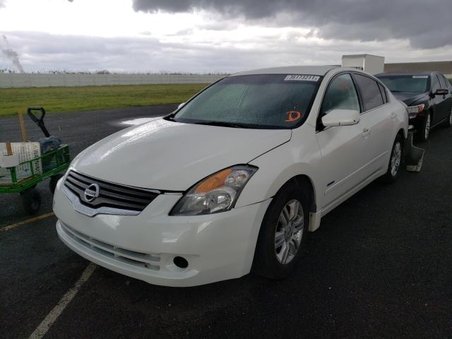 Photo 1 VIN: 1N4CL2AP6AC126123 - NISSAN ALTIMA HYB 