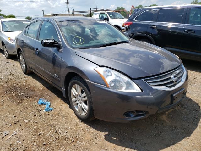 Photo 0 VIN: 1N4CL2AP6AC141091 - NISSAN ALTIMA HYB 