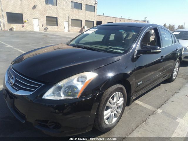 Photo 1 VIN: 1N4CL2APXBC185600 - NISSAN ALTIMA 