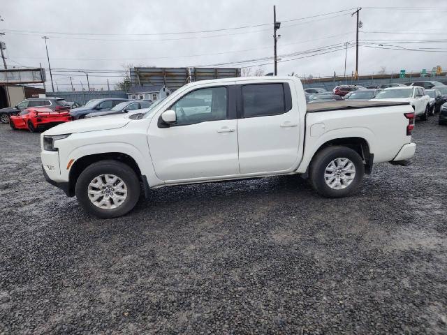 Photo 13 VIN: 1N6ED1EK5NN642456 - NISSAN FRONTIER S 