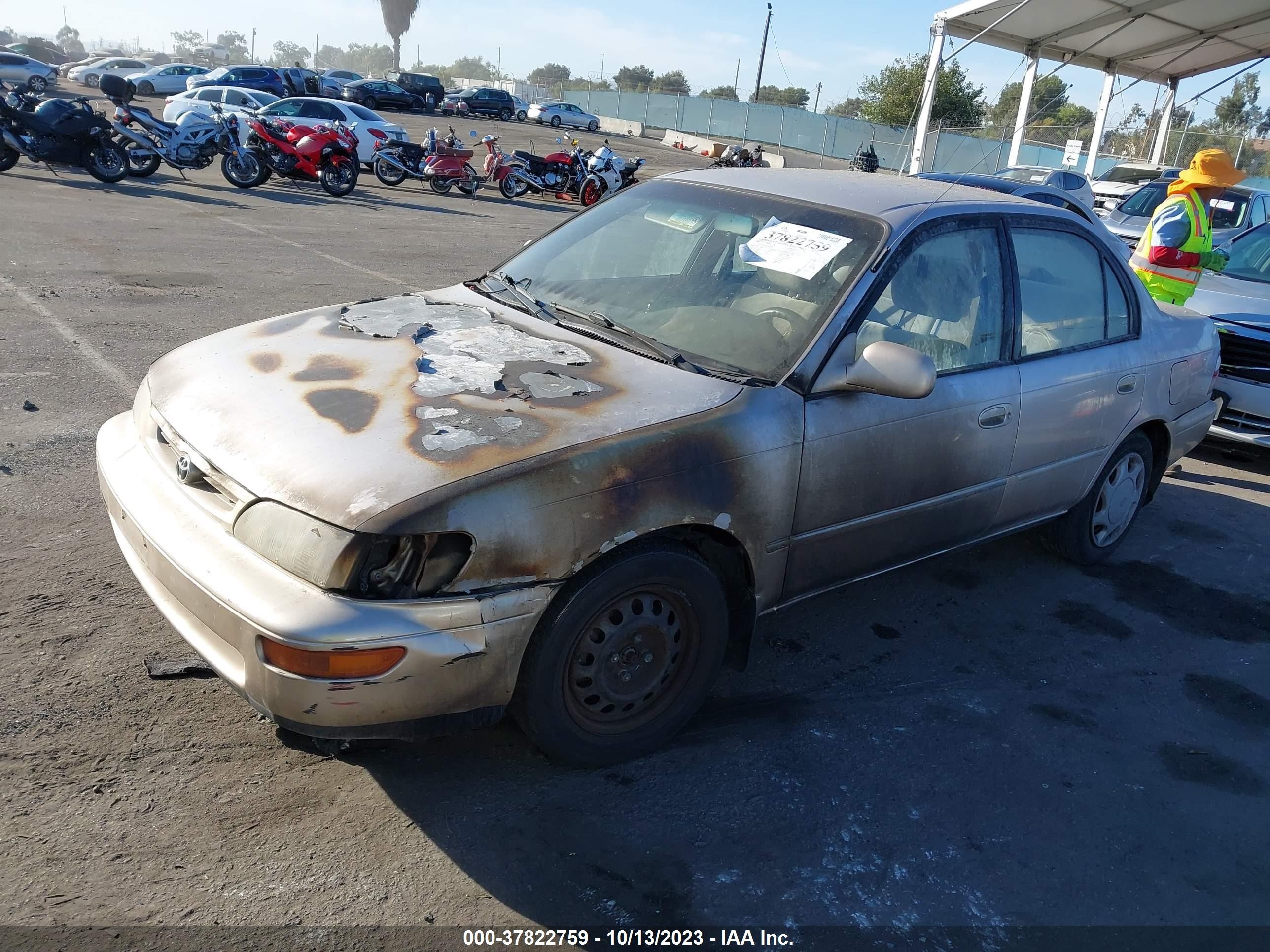 Photo 1 VIN: 1NXBB02E2TZ501024 - TOYOTA COROLLA 