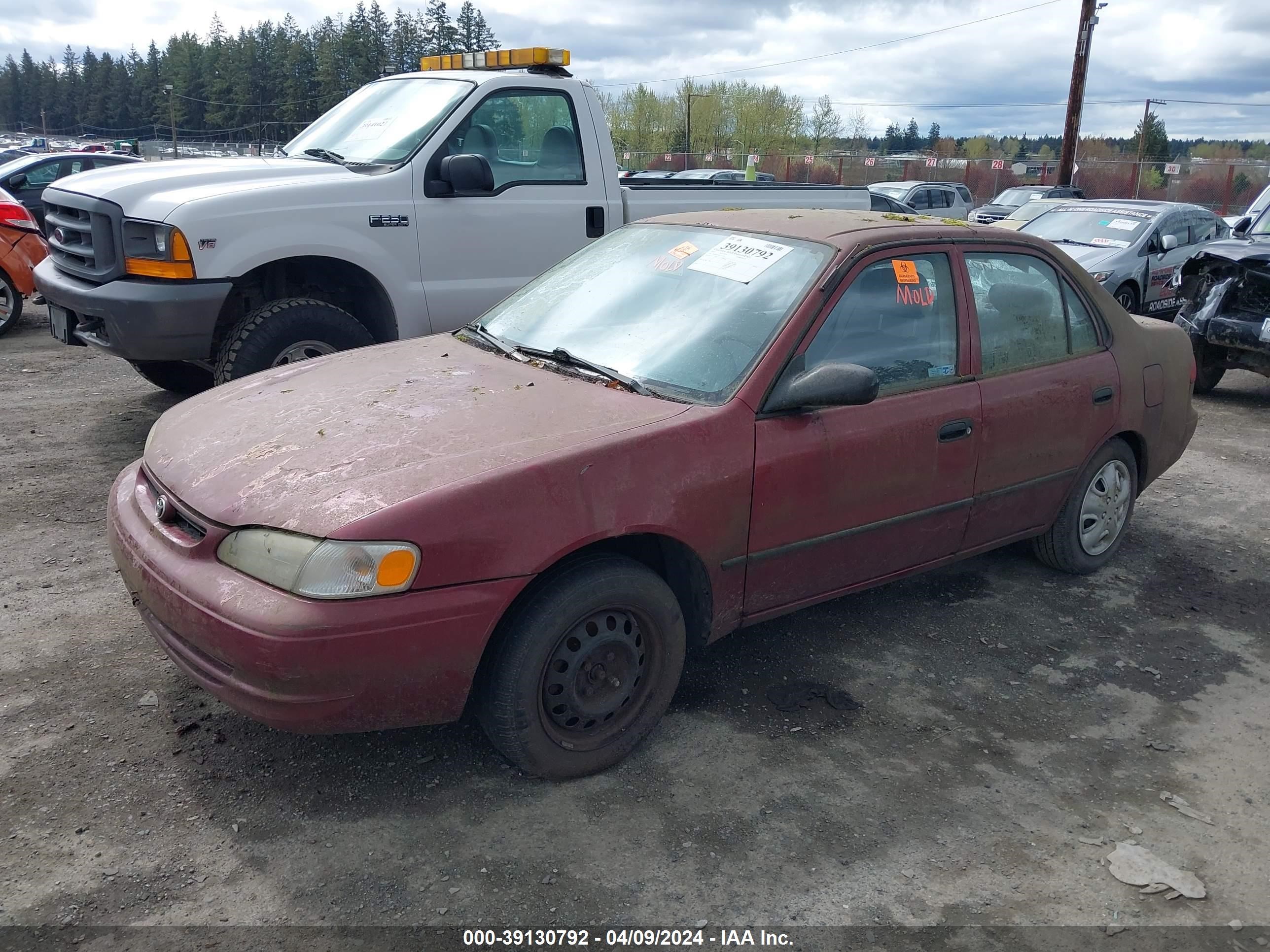 Photo 1 VIN: 1NXBR12E0YZ315135 - TOYOTA COROLLA 