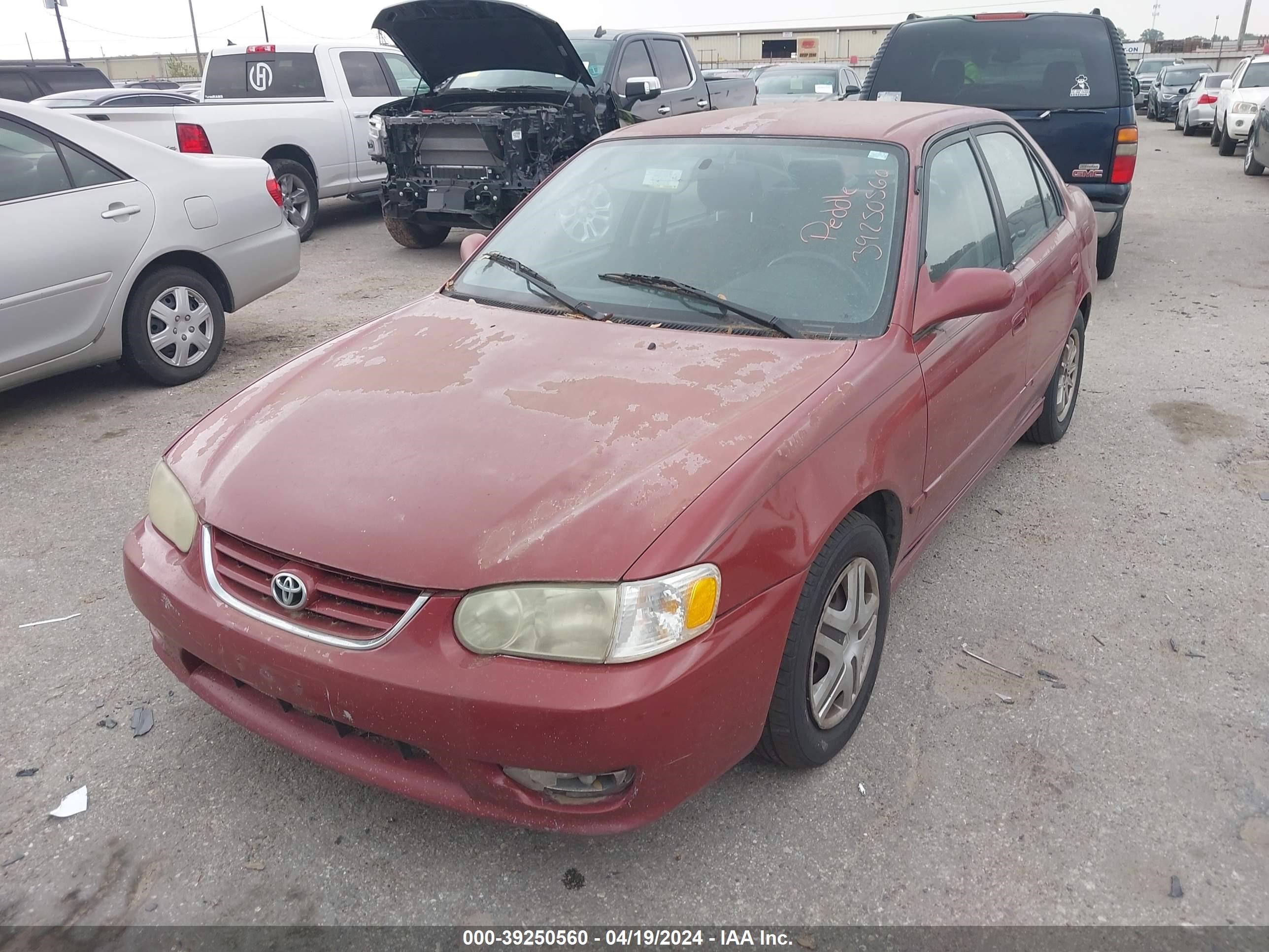 Photo 1 VIN: 1NXBR12E71Z420499 - TOYOTA COROLLA 