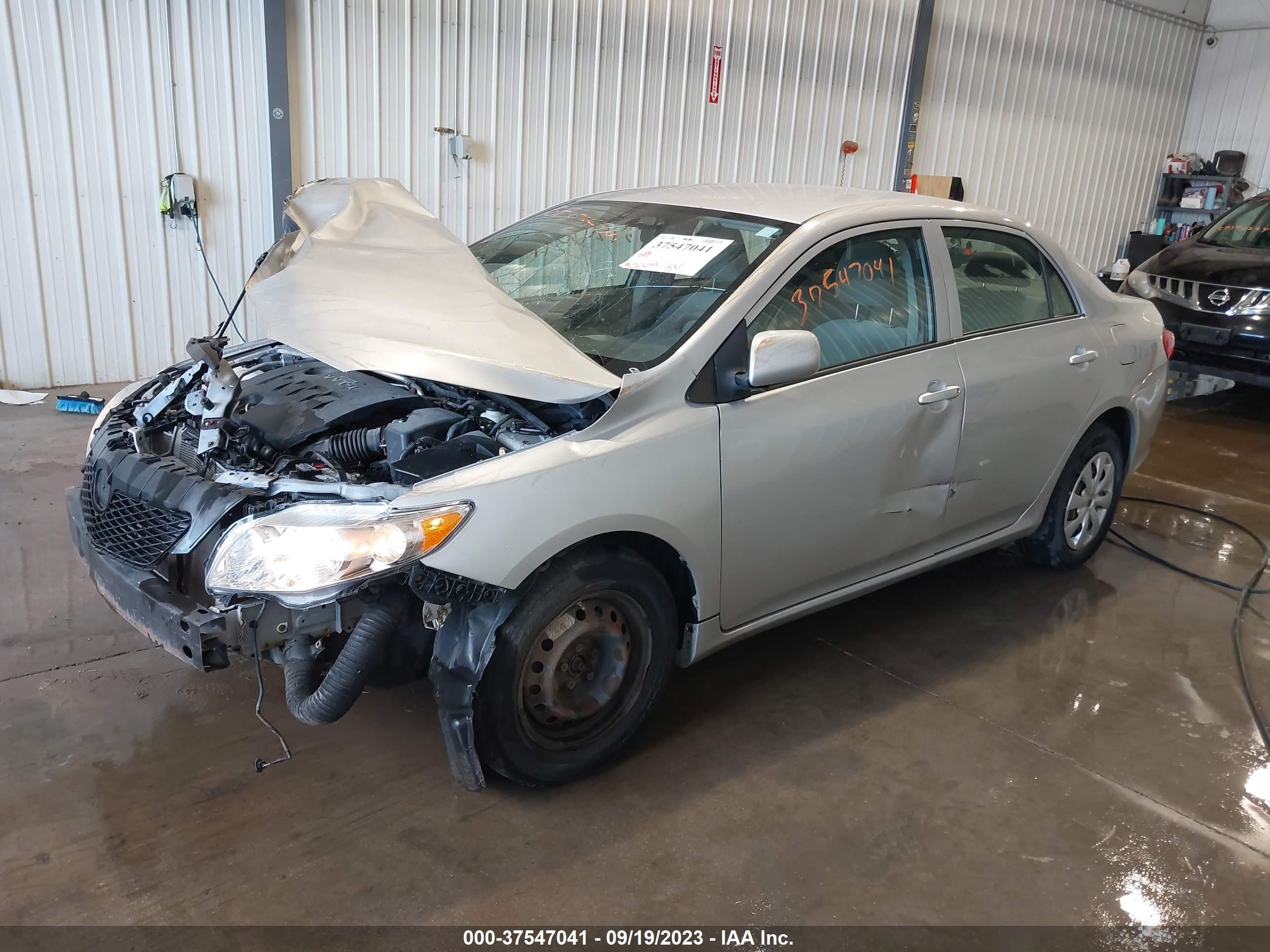 Photo 1 VIN: 1NXBU40E99Z095305 - TOYOTA COROLLA 