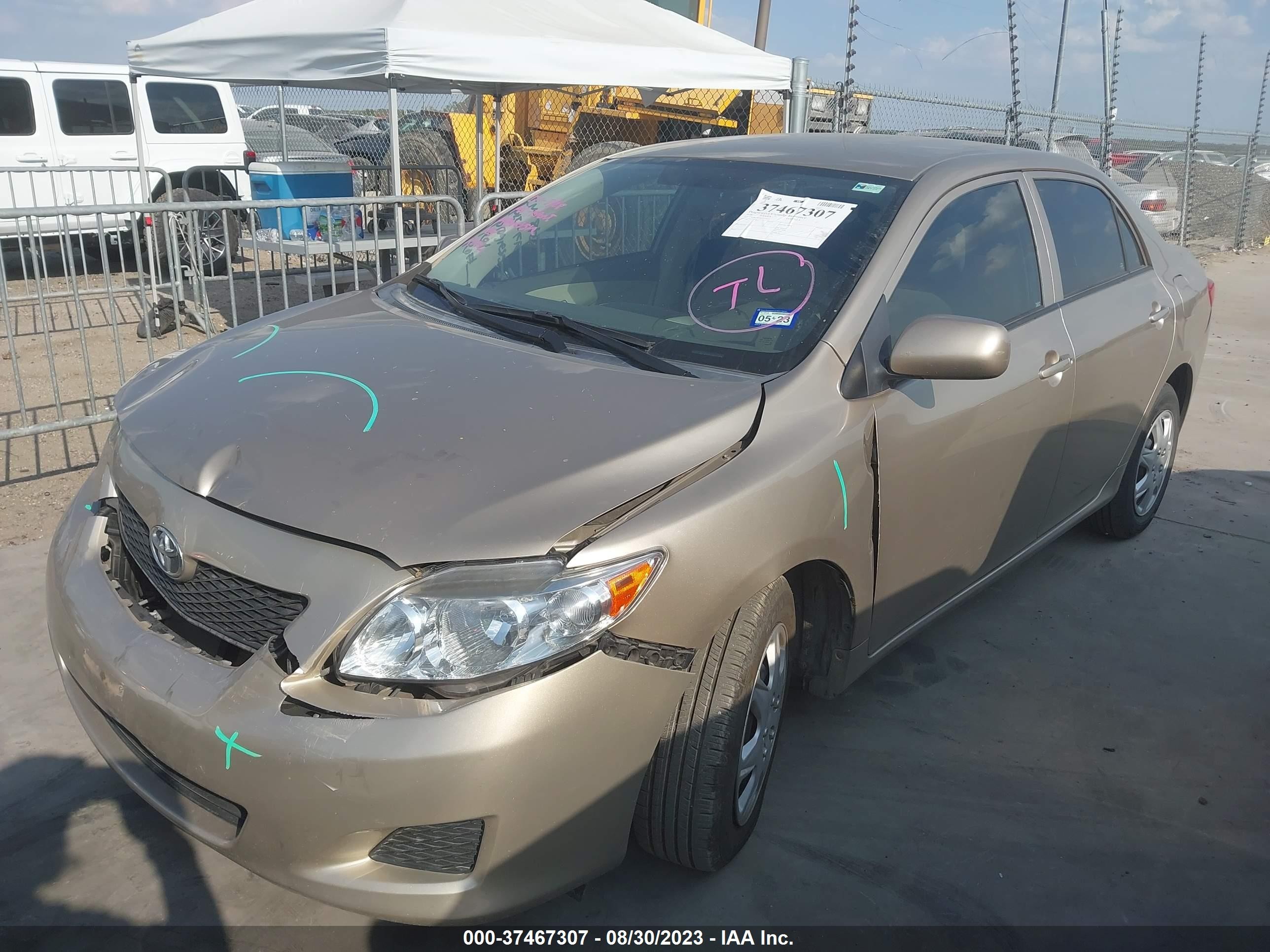 Photo 1 VIN: 1NXBU4EE0AZ316075 - TOYOTA COROLLA 