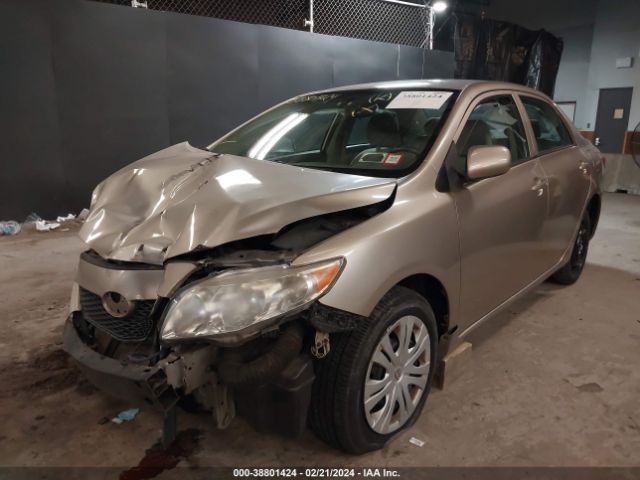 Photo 1 VIN: 1NXBU4EE0AZ321051 - TOYOTA COROLLA 