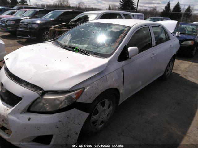 Photo 1 VIN: 1NXBU4EE1AZ175386 - TOYOTA COROLLA 