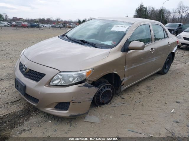 Photo 1 VIN: 1NXBU4EE1AZ236591 - TOYOTA COROLLA 