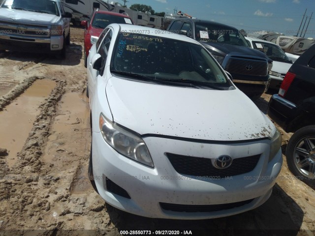 Photo 5 VIN: 1NXBU4EE1AZ298749 - TOYOTA COROLLA 