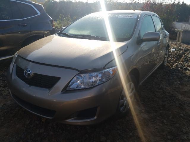 Photo 1 VIN: 1NXBU4EE2AZ339163 - TOYOTA COROLLA BA 