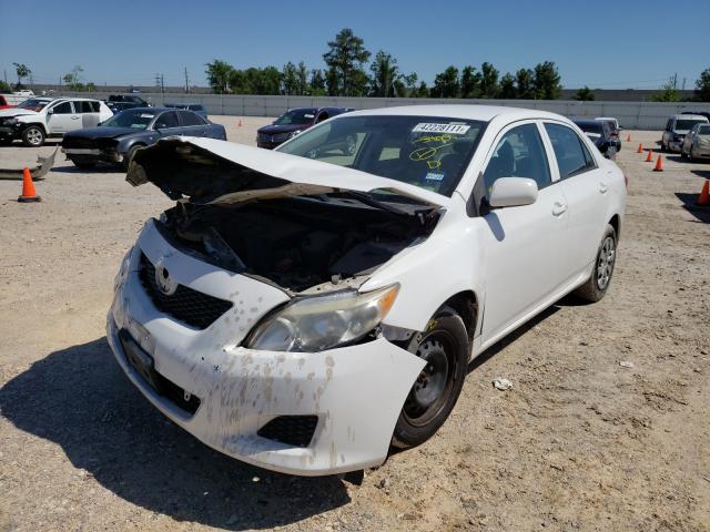 Photo 1 VIN: 1NXBU4EE6AZ301113 - TOYOTA COROLLA BA 