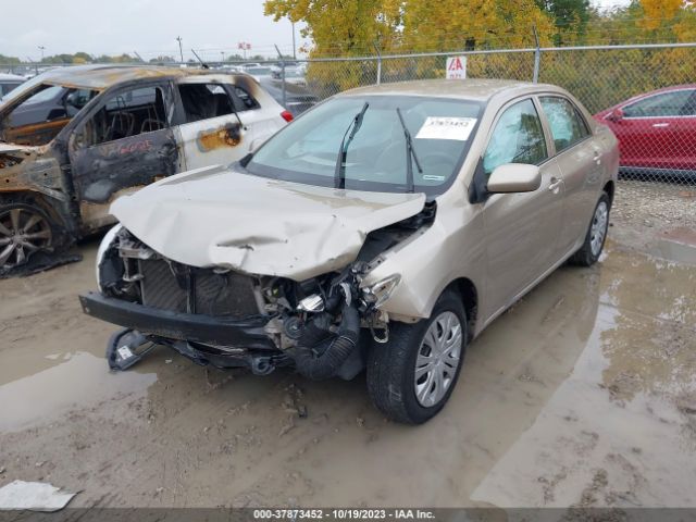 Photo 1 VIN: 1NXBU4EE7AZ323699 - TOYOTA COROLLA 