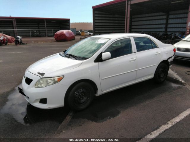 Photo 1 VIN: 1NXBU4EE8AZ315174 - TOYOTA COROLLA 