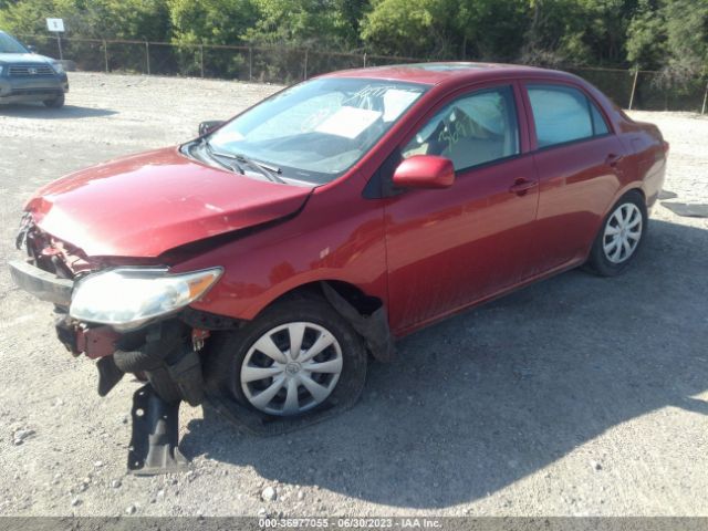 Photo 1 VIN: 1NXBU4EE9AZ298272 - TOYOTA COROLLA 