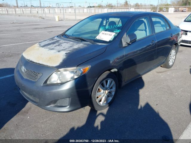 Photo 1 VIN: 1NXBU4EEXAZ253566 - TOYOTA COROLLA 