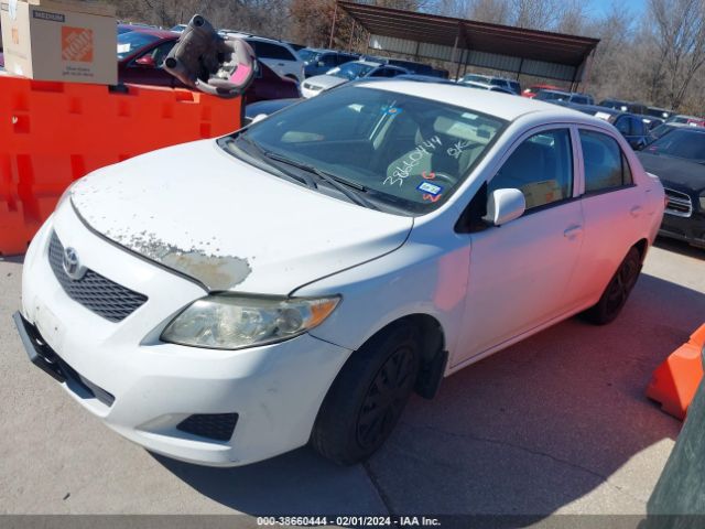 Photo 1 VIN: 1NXBU4EEXAZ303124 - TOYOTA COROLLA 