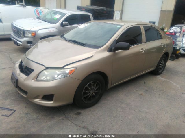 Photo 1 VIN: 1NXBU4EEXAZ316066 - TOYOTA COROLLA 