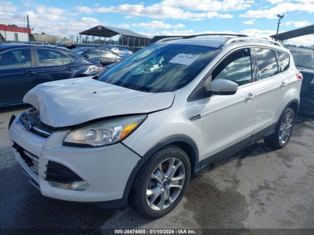 Photo 1 VIN: 1SMCU9J93EUD77842 - FORD ESCAPE 