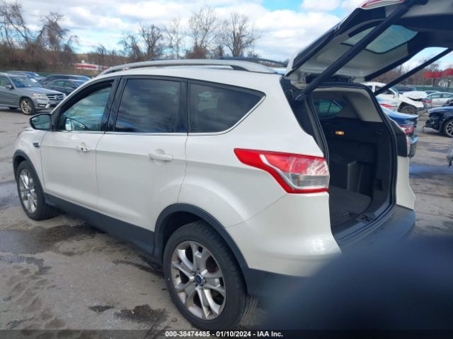 Photo 2 VIN: 1SMCU9J93EUD77842 - FORD ESCAPE 