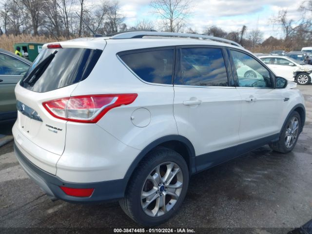 Photo 3 VIN: 1SMCU9J93EUD77842 - FORD ESCAPE 