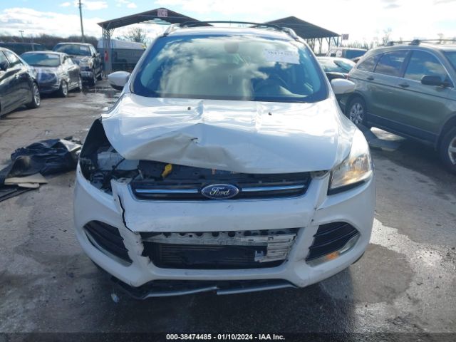 Photo 5 VIN: 1SMCU9J93EUD77842 - FORD ESCAPE 