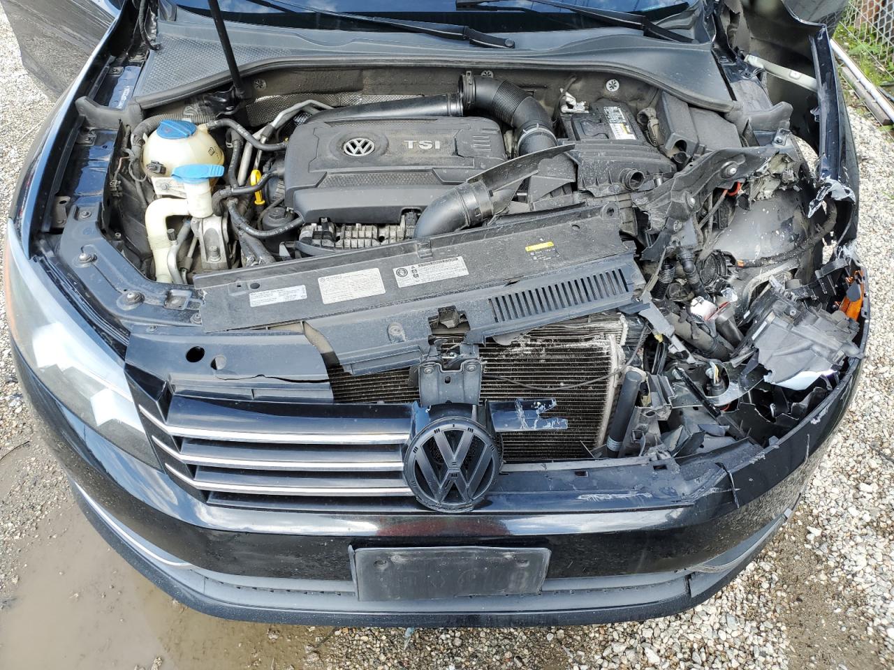 Photo 10 VIN: 1VWAT7A36EC112592 - VOLKSWAGEN PASSAT 