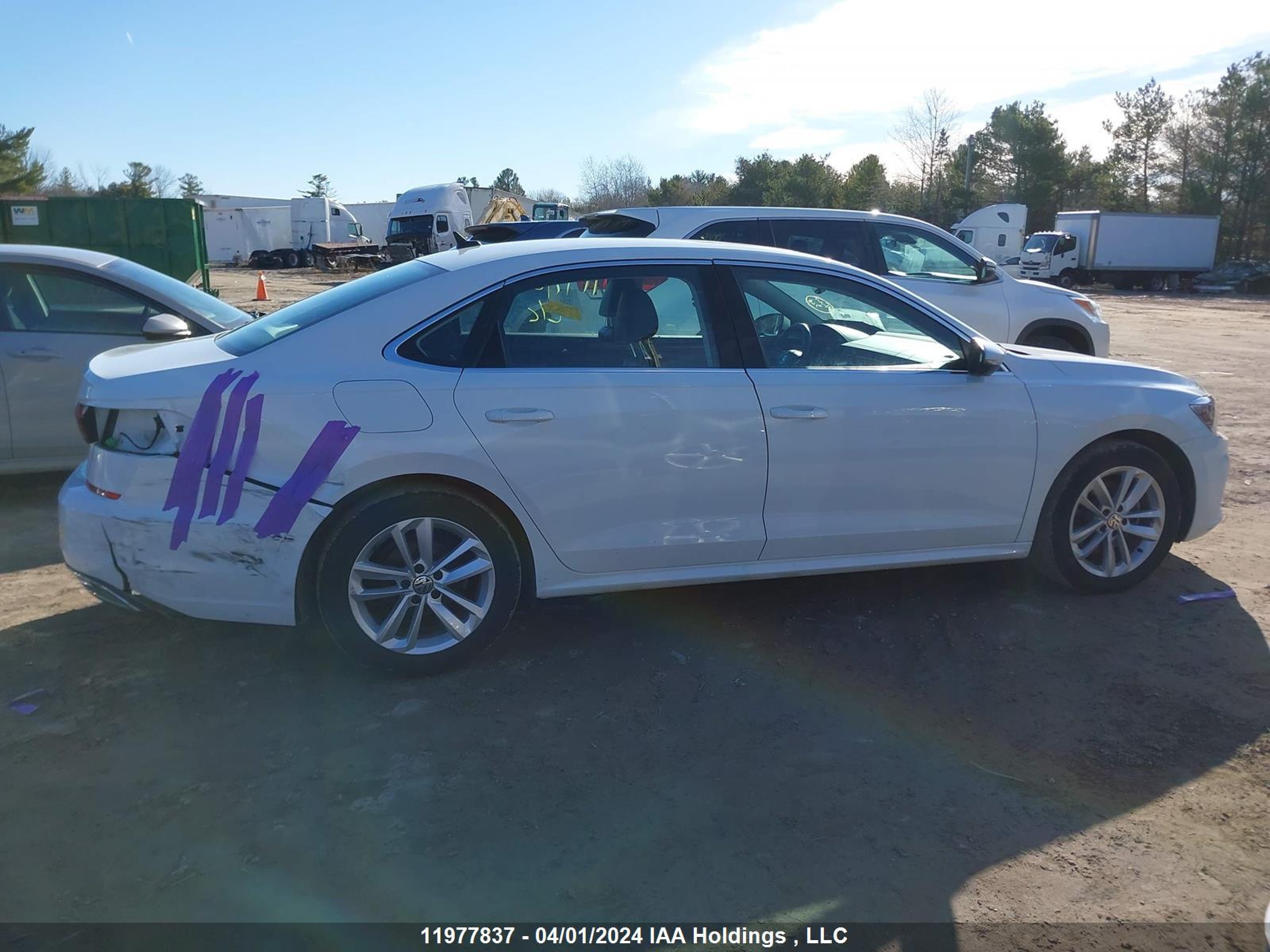 Photo 13 VIN: 1VWBA7A32MC004544 - VOLKSWAGEN PASSAT 