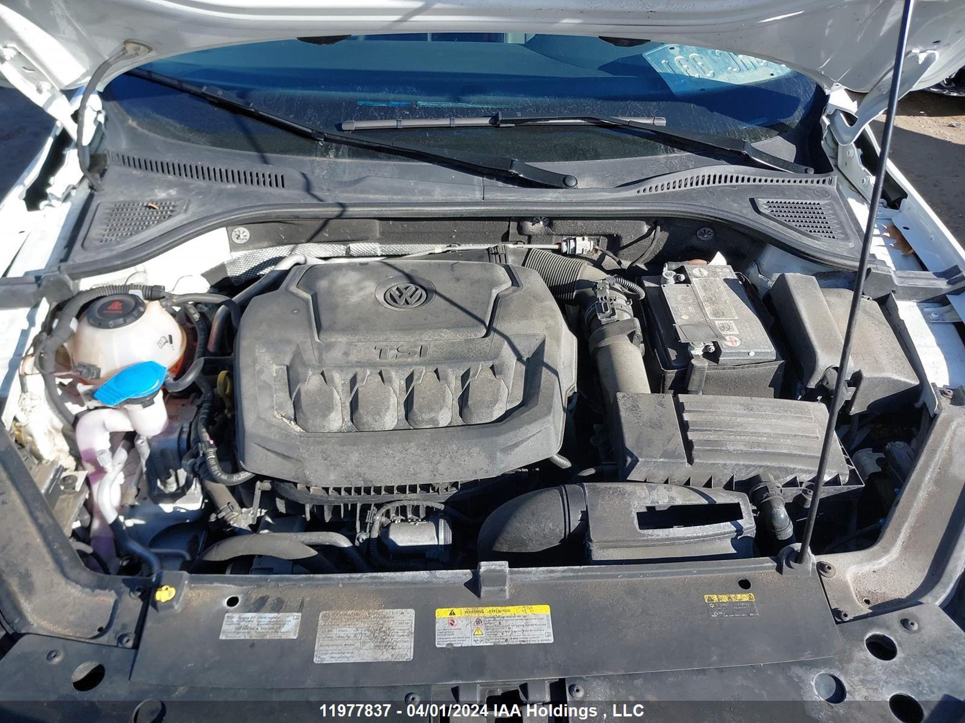 Photo 9 VIN: 1VWBA7A32MC004544 - VOLKSWAGEN PASSAT 