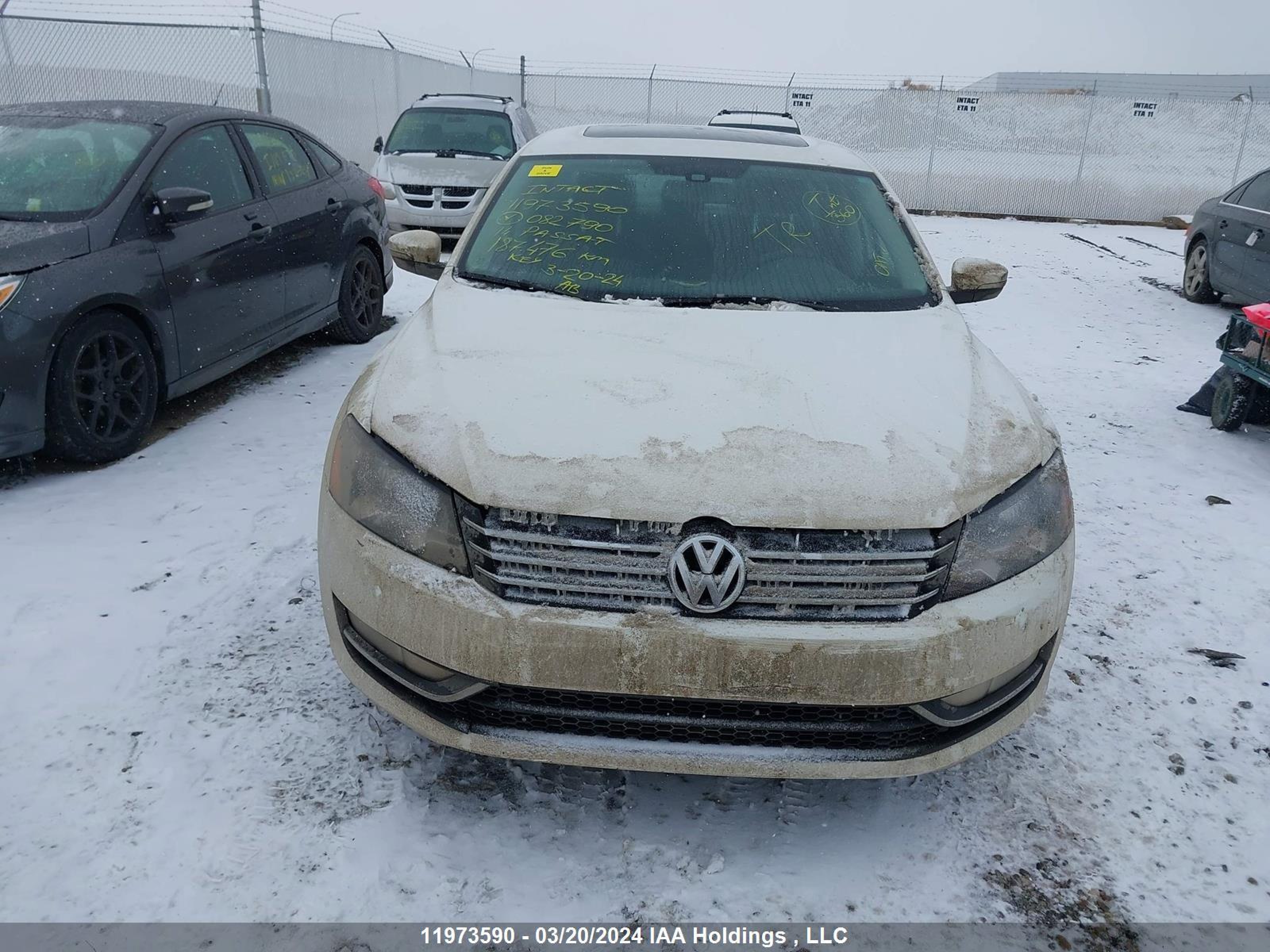 Photo 11 VIN: 1VWBN7A33EC082790 - VOLKSWAGEN PASSAT 