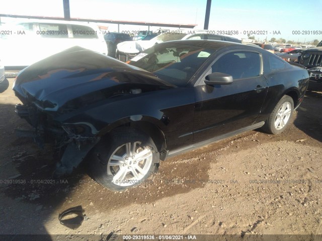 Photo 1 VIN: 1ZVBP8AM0B5107427 - FORD MUSTANG 