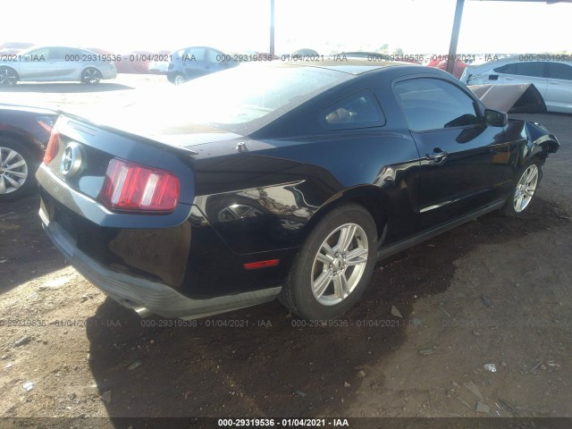 Photo 3 VIN: 1ZVBP8AM0B5107427 - FORD MUSTANG 