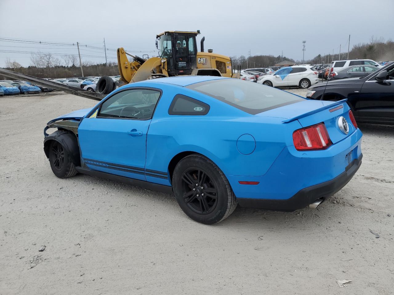 Photo 1 VIN: 1ZVBP8AM0B5112501 - FORD MUSTANG 