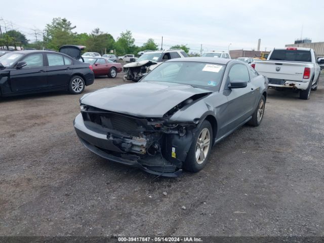 Photo 1 VIN: 1ZVBP8AM0B5116144 - FORD MUSTANG 