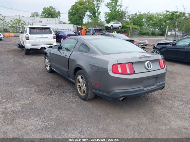 Photo 2 VIN: 1ZVBP8AM0B5116144 - FORD MUSTANG 