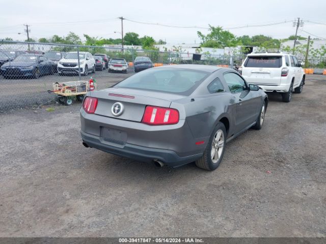 Photo 3 VIN: 1ZVBP8AM0B5116144 - FORD MUSTANG 